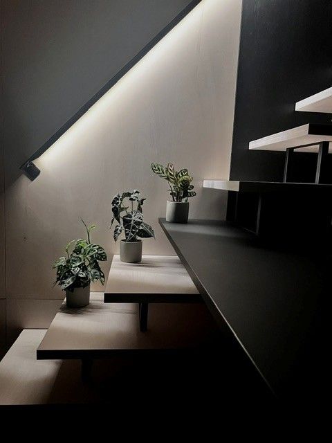 2.5-Zimmer-Tiny-House mit spektakulärer Zürichsee-Aussicht – ca. 20 Min. von Zürich - Bild 10