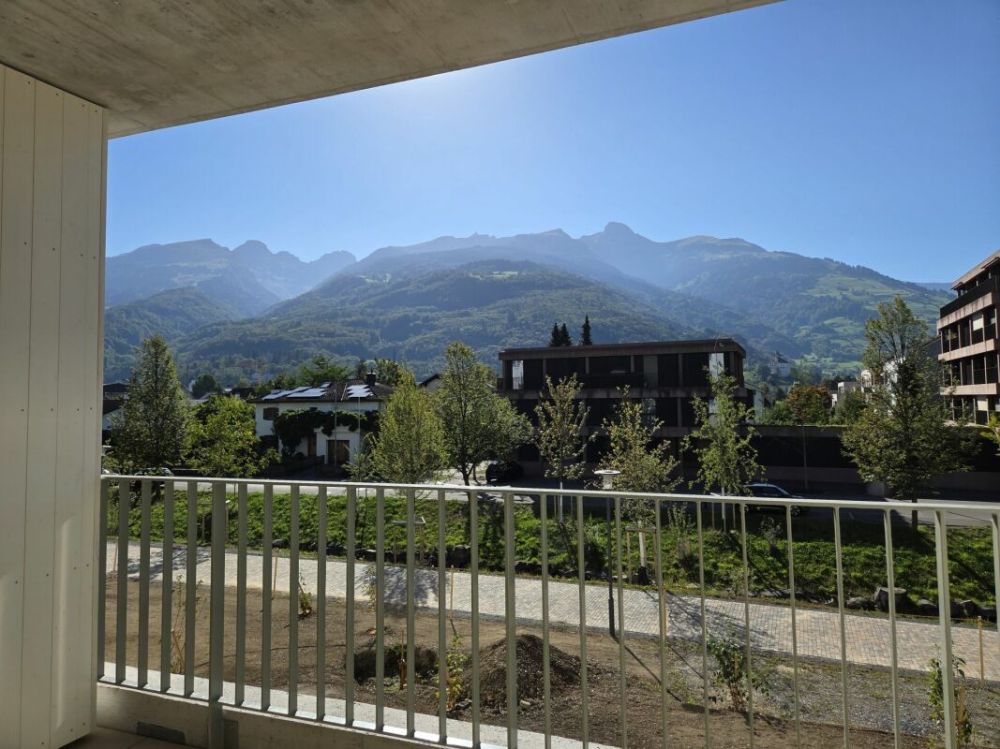 5 1/2-Zimmer-Wohnung - Neubauprojekt "Rheincity" - Bild 2