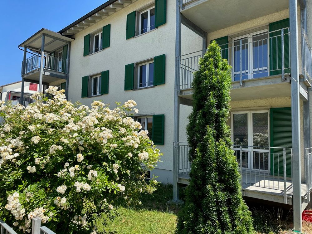 Erstvermietung in Buchthalen nach Totalrenovation - Bild 1