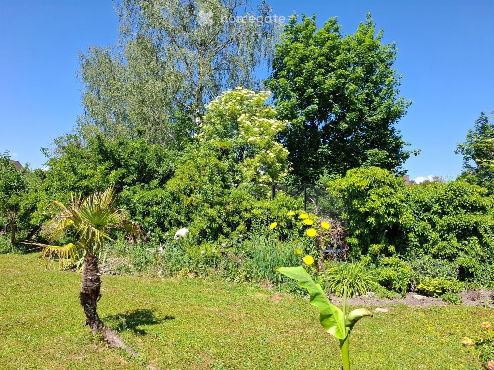 Einfamilienhaus (Liebhaberobjekt) an ruhiger Lage, Grundstück 710m2 - Bild 4