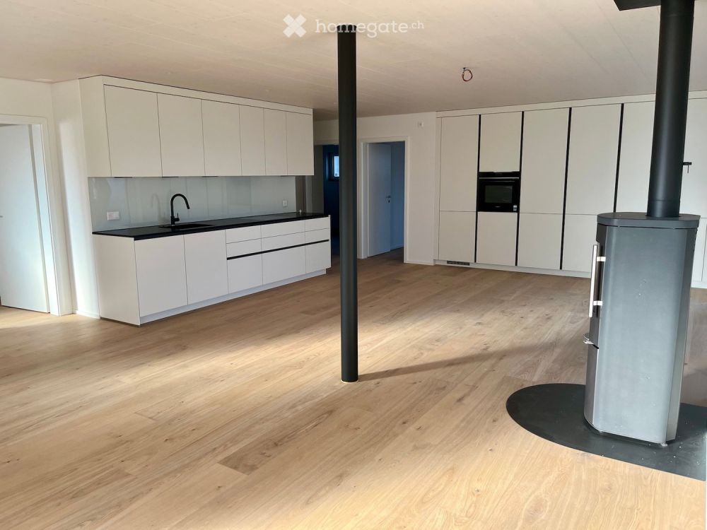 Moderne Neubau-Wohnungen mit Terrassen in umgebauten Bauernhaus - Bild 5