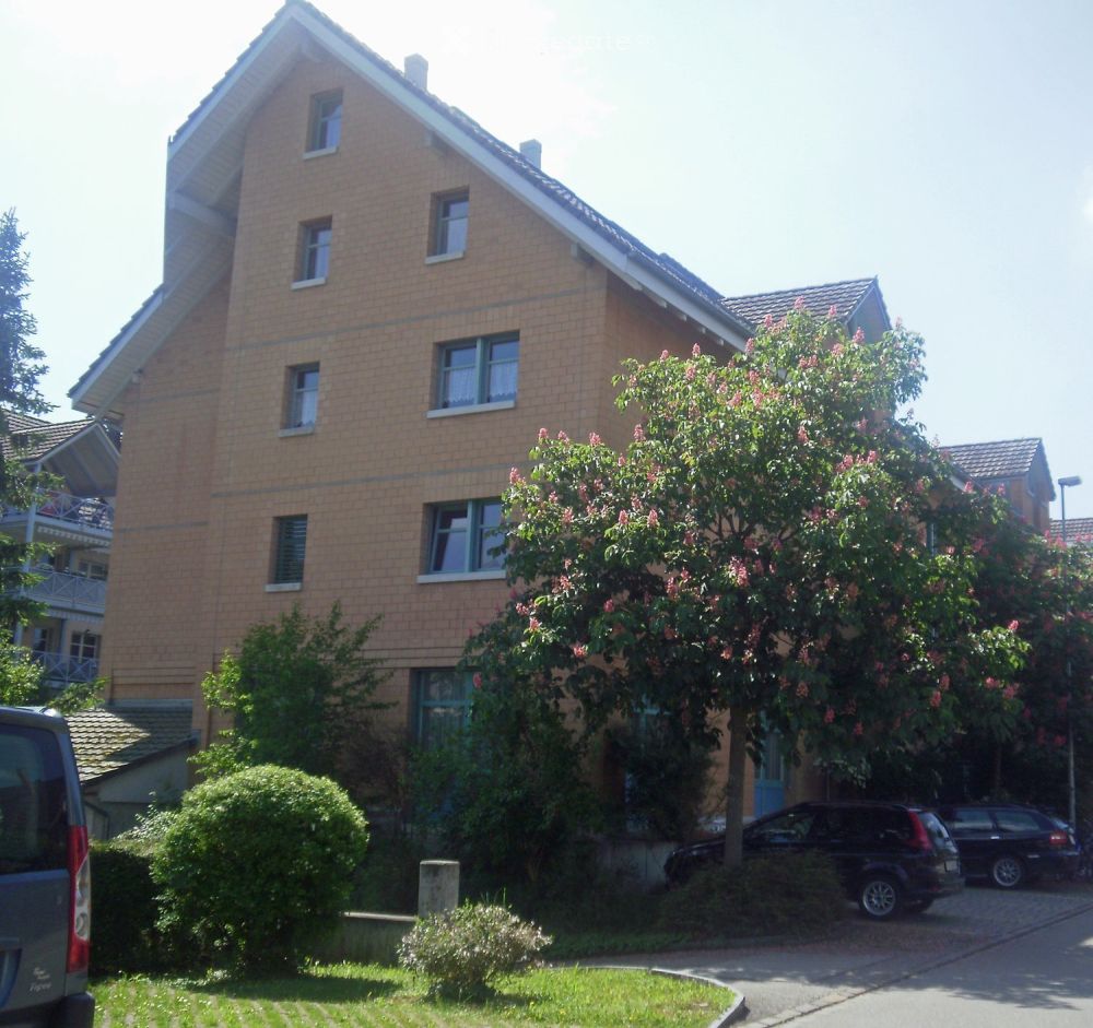 Erstbezug Neubau 4.5-Zimmer-Wohnung in Matzingen - Bild 1