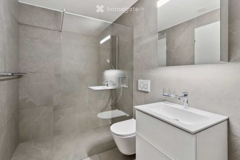 Erstvermietung: Exklusive 3.5-Zi-Dachwohnung mit Galerie & einzigartigem Wohngefühl - Bild 10