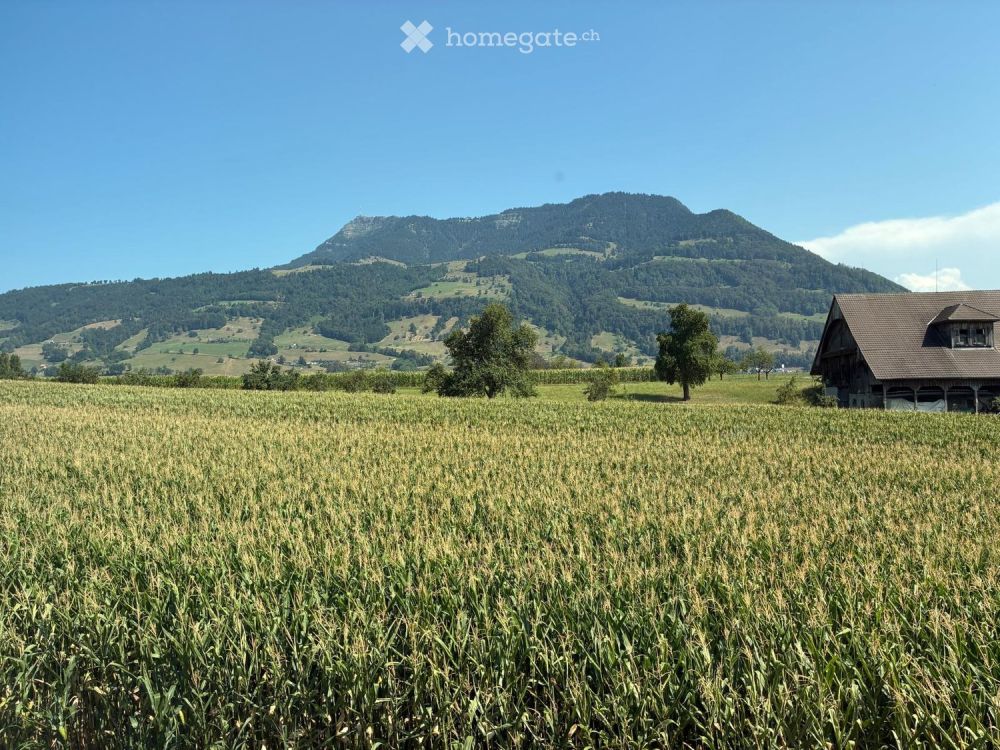 Exklusive Neubauwohnung mit unverbaubarer Sicht - Bild 1