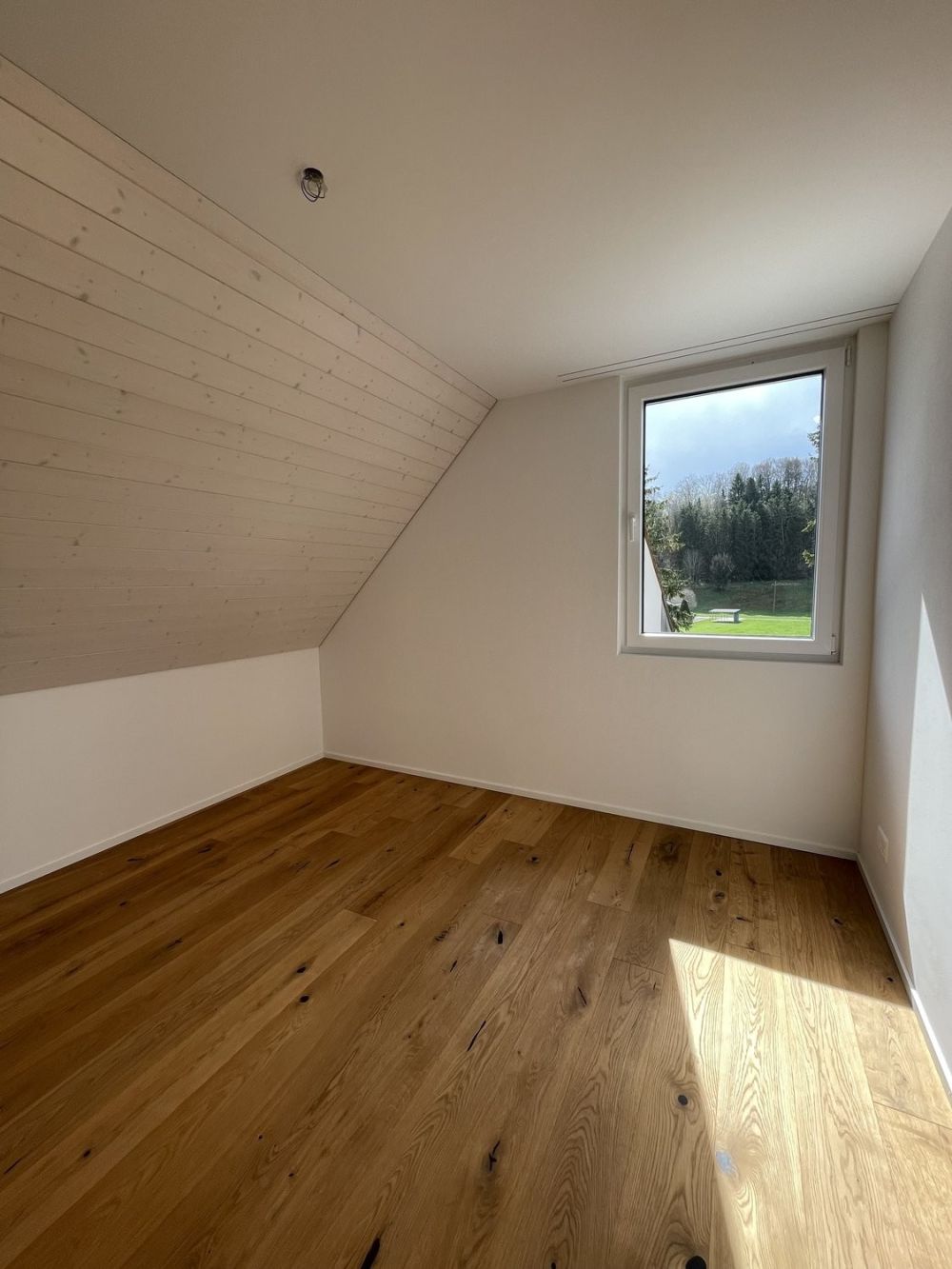 4.5-Zimmer-Maisonettewohnung in Seewen SO zu vermieten - IMG_8409