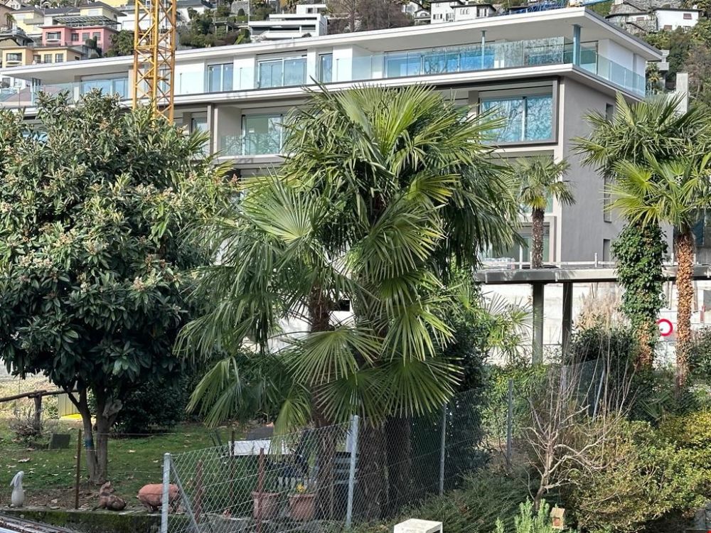 AFFITTASI A MINUSIO - ATTICO DI 2.5 LOCALI CON VISTA LAGO - Bild 6