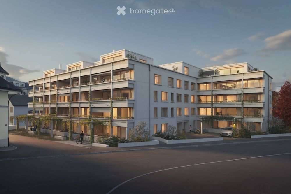 Erstvermietung Neubau "la Loggia- Siebnen" 4.5 Zi  34 Min vom HB Zürich - Bild 2