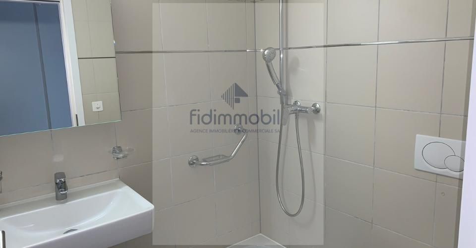 MAGNIFIQUE APPARTEMENT PROCHE DE TOUTES LES COMMODITES - Appartement 4.5 pièces - image - 8