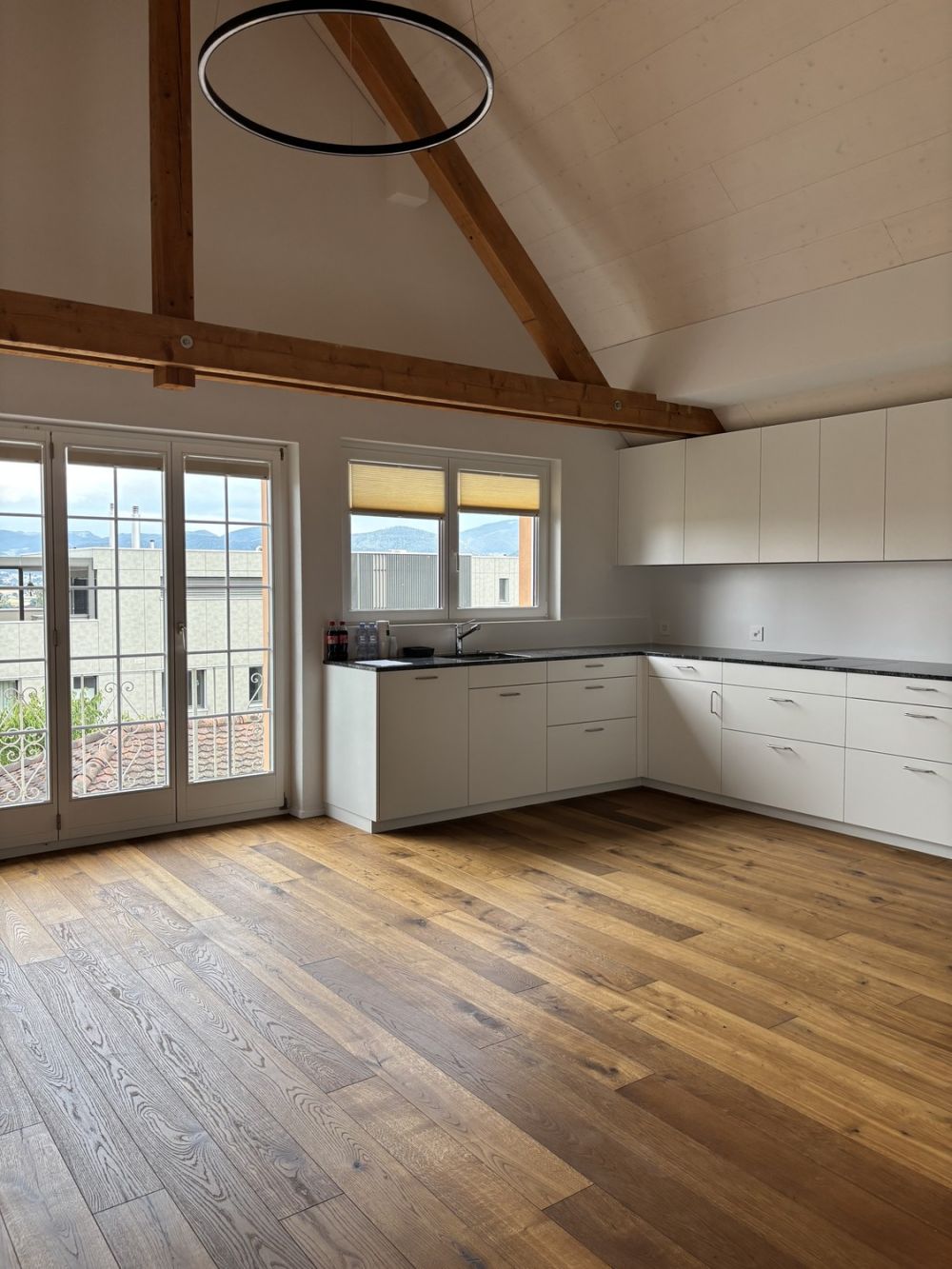 Large 4.5‑room attic apartment (180 m²) – ideal for expats or 2–3 person WG, 20 - 25 min to Basel - Dinning