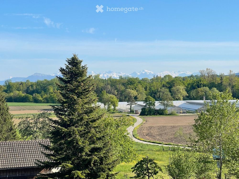 Erstbezug: Moderne 2.5, 3.5, 4.5 & 5.5-Zi-Wohnungen mit Terrasse/Balkon mit Aussicht in Eggenwil - Bild 4