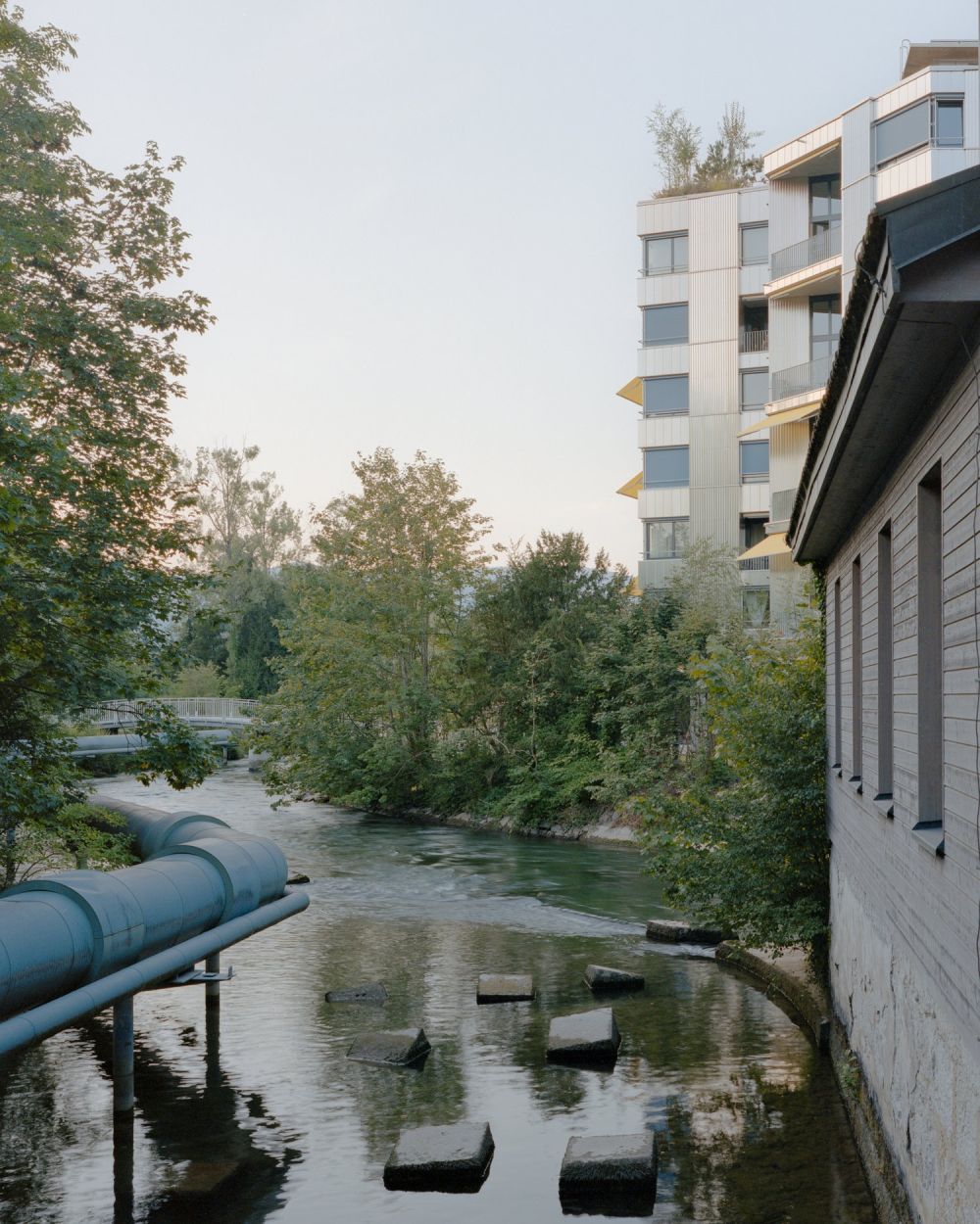 Zweitbezug Moderne 3.5-Zimmer-Wohnung mit Sicht ins Grüne - Neubau 2024 - Bild 8