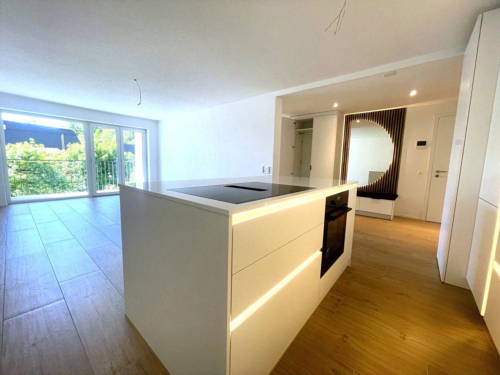 ERSTVERMIETUNG: Wunderschöne 3.5-Zimmer-Wohnungen in Baden - Bild 1