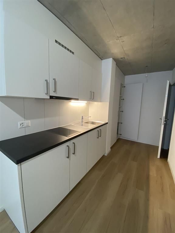 Appartement,1,25 - Cuisine