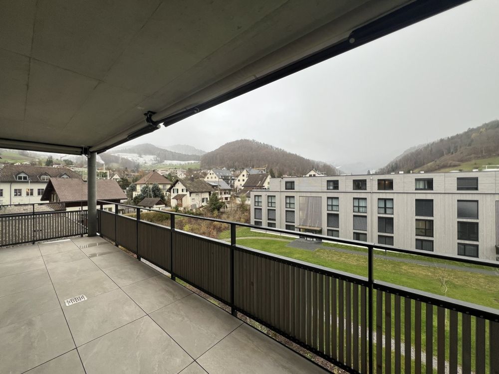 Moderne 4.5-Zimmer-Attikawohnung zu vermieten - 11.4 Balkon