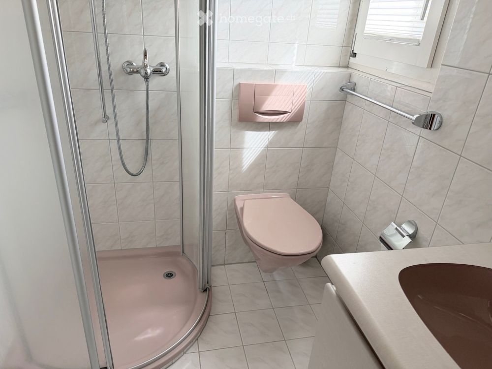 Charmantes Studio-Apartment in Wilen b. Wollerau – sofort verfügbar - Bild 6