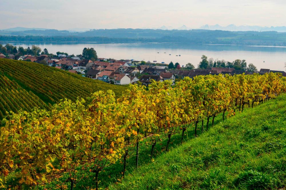 Villa Nouvelle construction de 7.5 pièces avec vue panoramique sur le lac de Morat - Bild 8