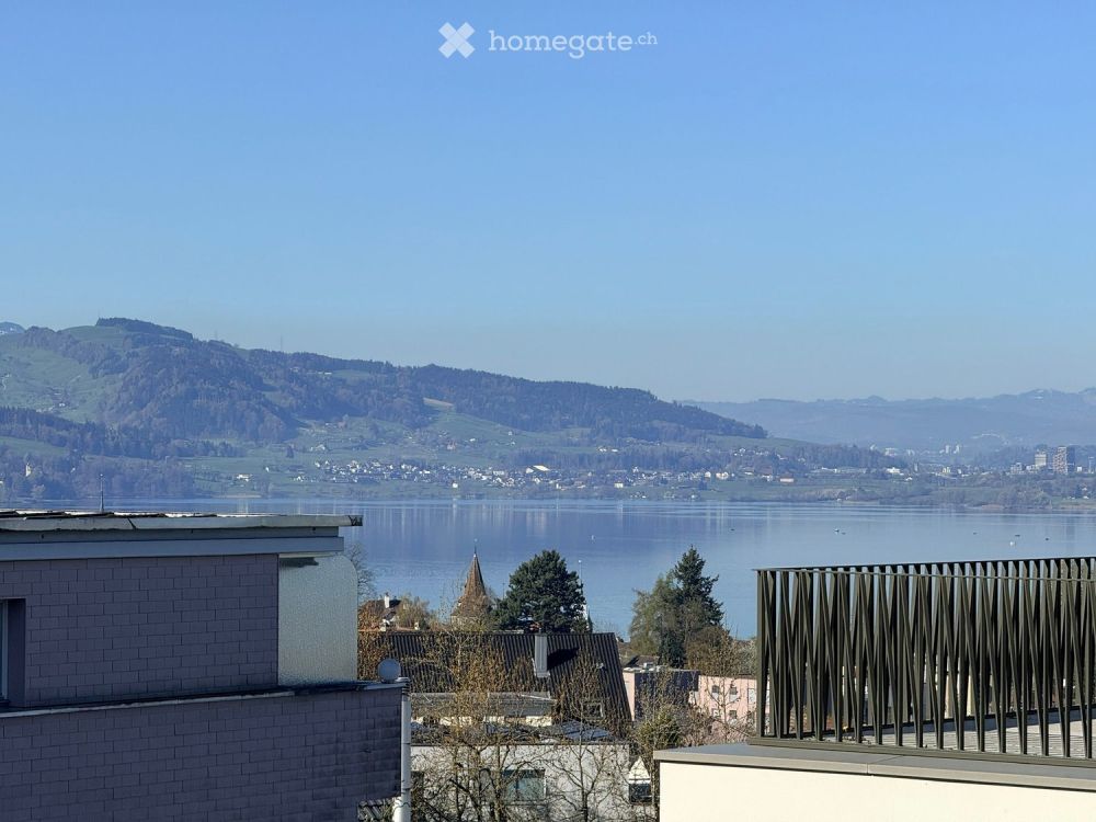 Traumhafte 4.5-Zimmer-Wohnung mit Seeblick in der Region Weinberghöhe - Bild 1