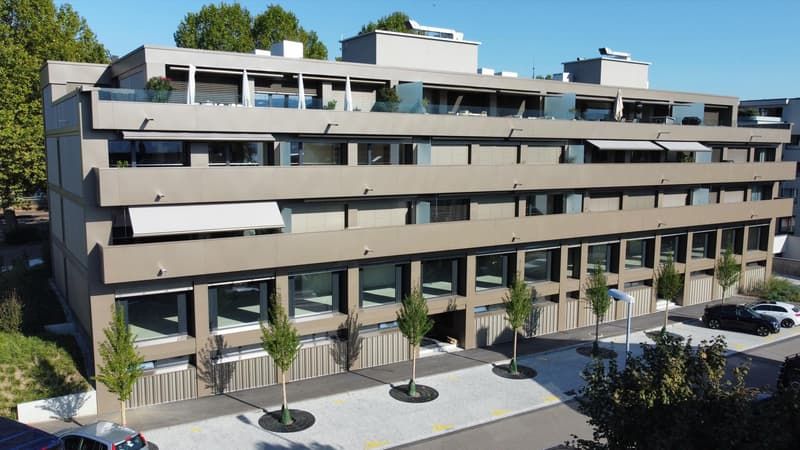 Schöne Singlewohnung in Küsnacht - Bild 1