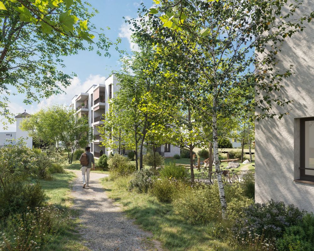 Moderne 3.5-Zimmer-Neubauwohnung in Rüfenacht BE – Erstbezug März 2027 - Bild 2
