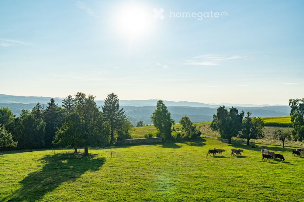 1. Vermietung | 4.5-Zimmer-Dachwohnung mit Panoramaaussicht und exklusivem Ausbaustandard - Bild 7