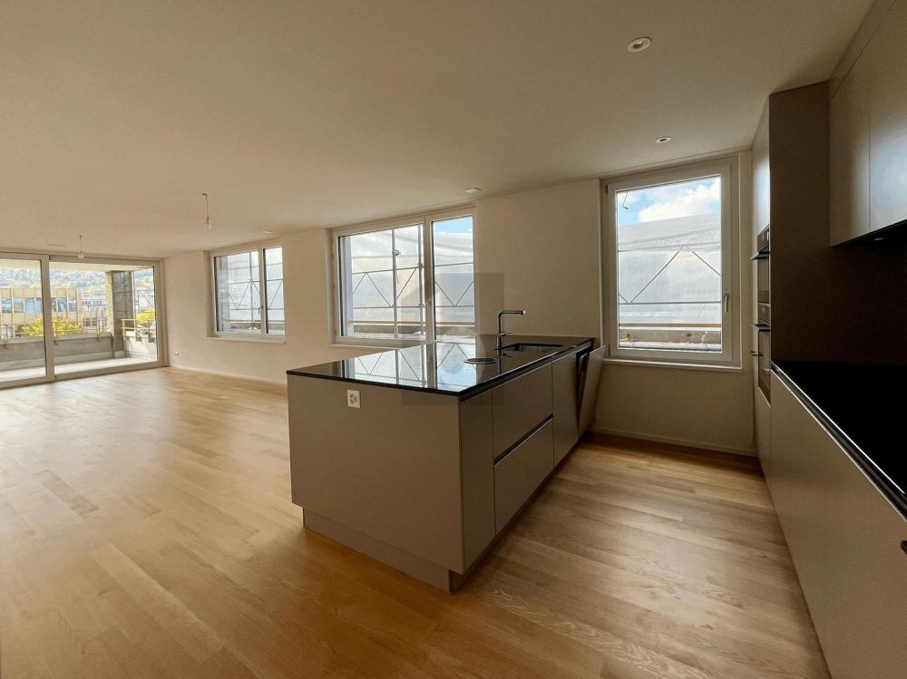 ERSTBEZUG: GROSSER BALKON, SICHT AUF DEN ÜETLIBERG - Bild 2