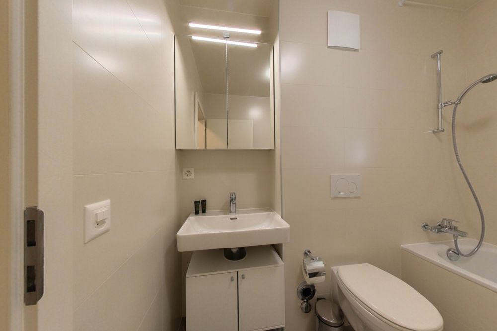 Bright 1 bedroom apartment with terrasse and parking lot, close to green spaces - Bild 6