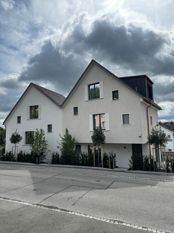 Erstbezug 5,5 Zimmer-Doppeleinfamilienhaus - Aussen