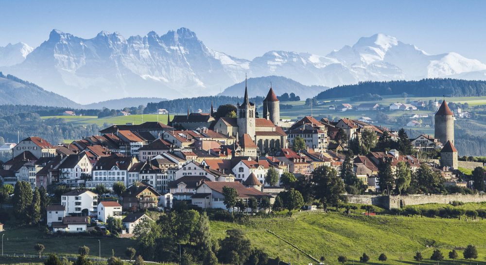 Superbe 3.5 pièces dans nouvelle construction - avec local de stockage - Bild 1