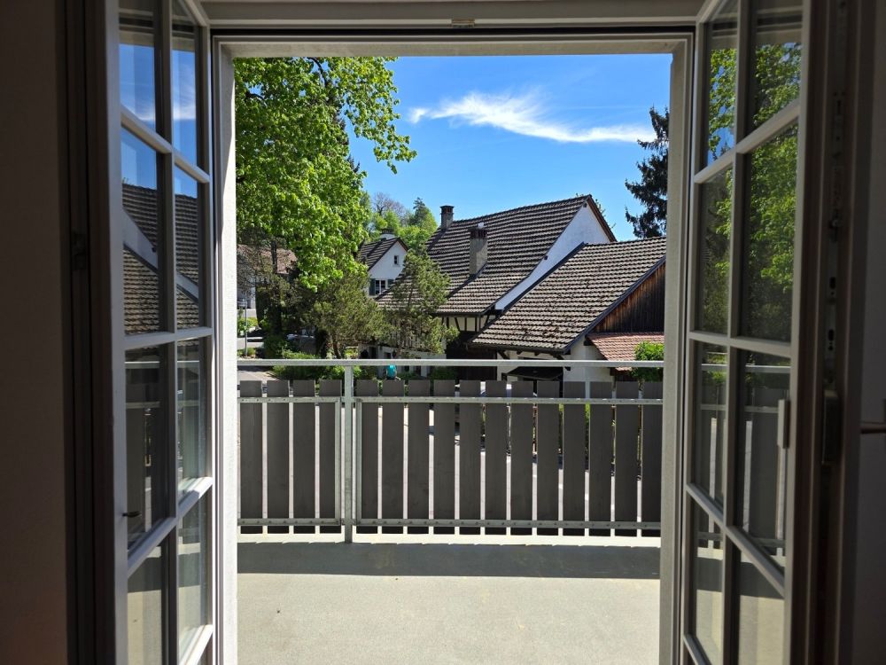 Erstbezug traumhafte 4,5-Zimmer-Wohnung nach Renovierung - Zimmer