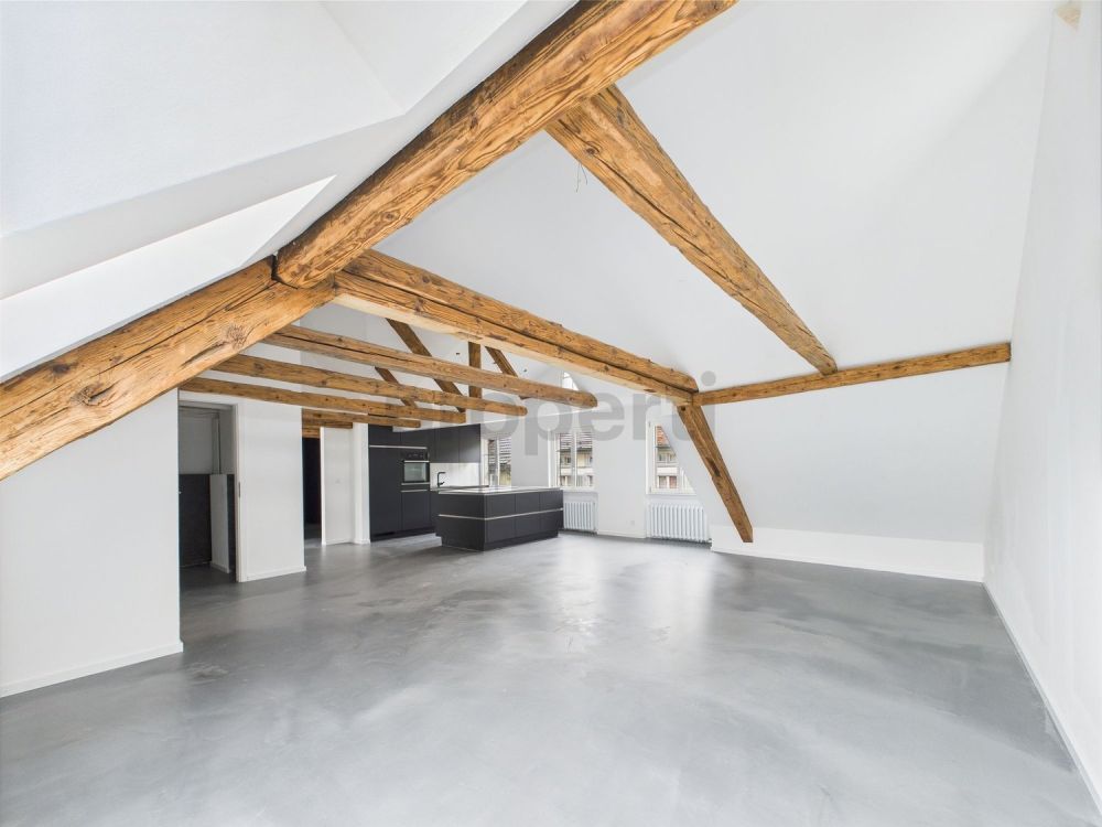 Modernes Loft mit Charme und Aussicht  Wohnen über den Dächern von Lichtensteig - Image 4