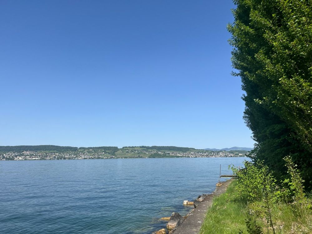 Einmalige Gelegenheit - Wohnen auf der Giessen-Halbinsel in Wädenswil - Bild 5