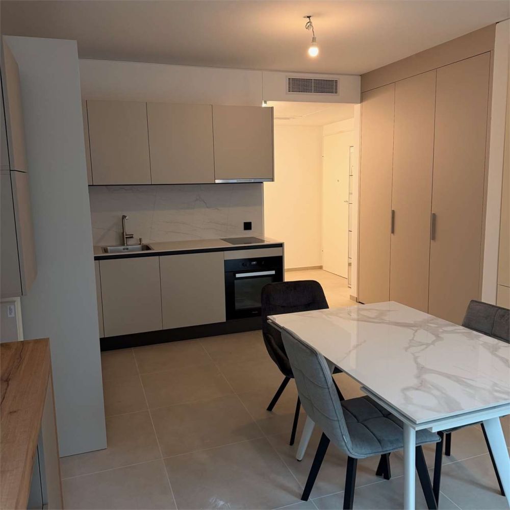 Green Corner - Appartamento Ammobiliato in Prima Locazione a Paradiso - Bild 5