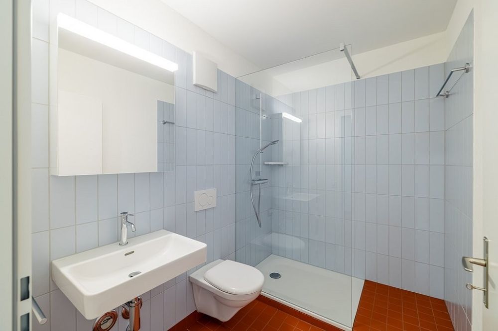 Frisch sanierte 3.5-Zimmer-Wohnung an attraktiver Lage - Beispiel Dusche/WC