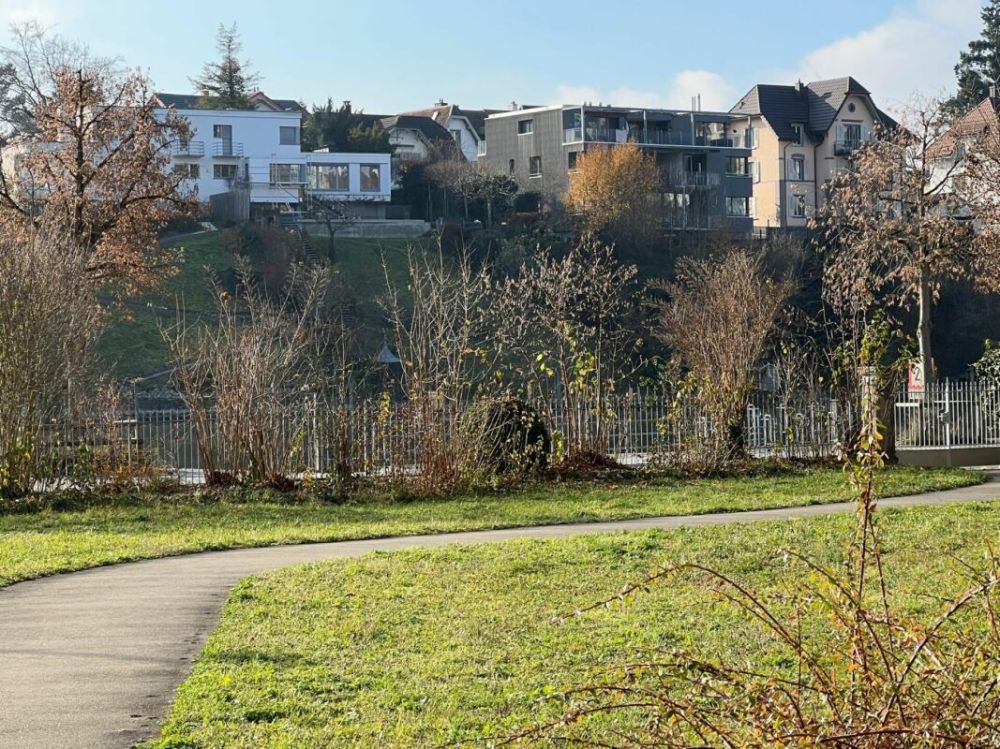 Sonniges Studio mit direktem Rheinblick - Bild 1