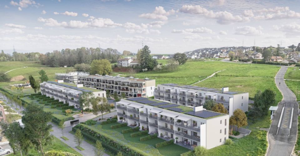 Appartements neufs de 3.5 pièces avec spacieux balcons - Appartement 3.5 pièces - image - 6