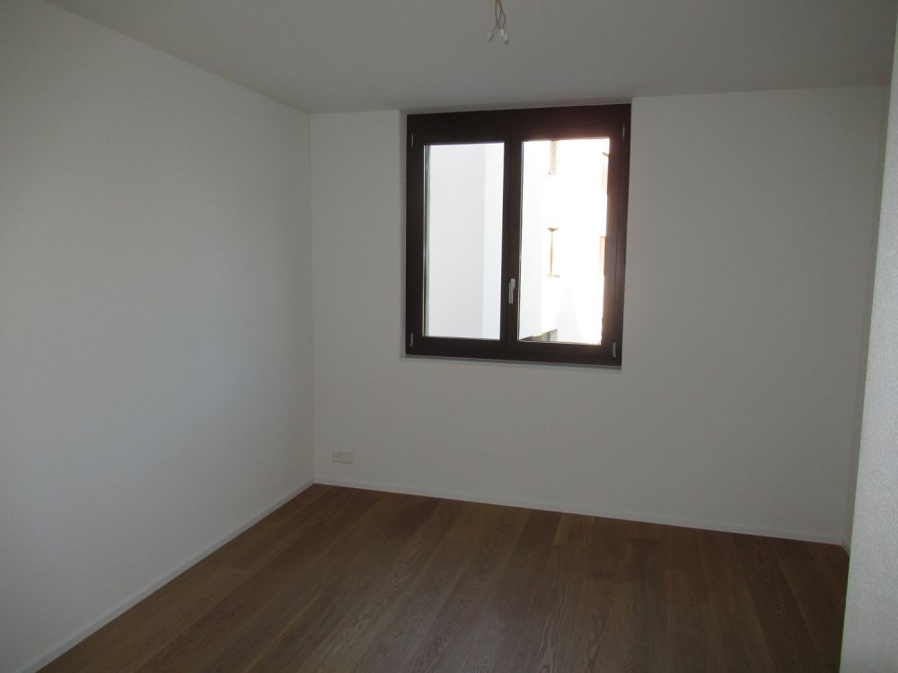 Moderne 4.5-Zimmer-Neubau-Wohnung mit Bergblick in Kaltbrunn - Bild 6