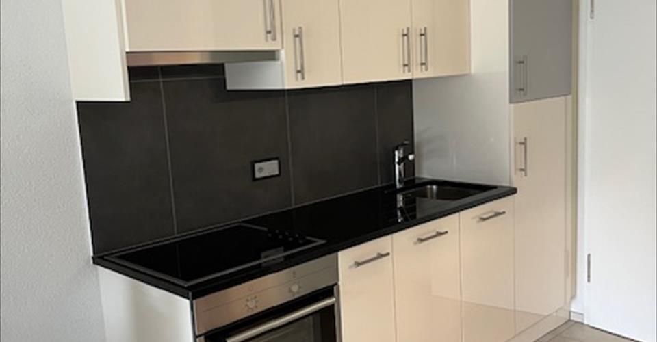 Vicques - à louer 1,5 pce 30 m2 - Appartement 1.5 pièces - image - 3