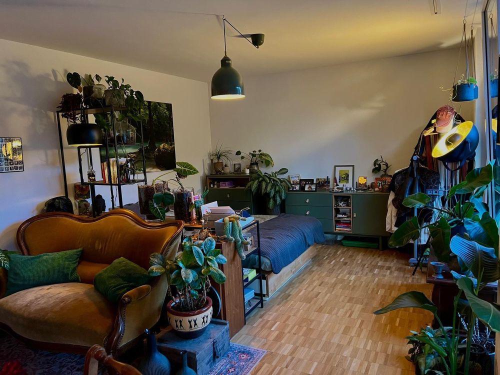 Three Month Cozy Winter Sublet <3 - Bild 1