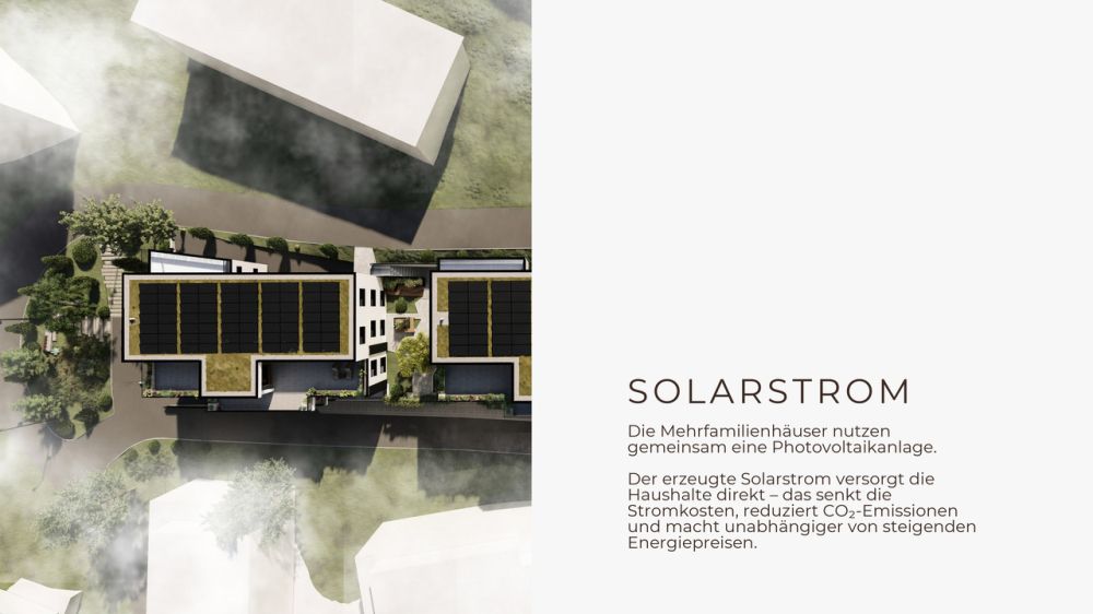 Erstvermietung: Grossraum - Luxuswohnung - Bild 4