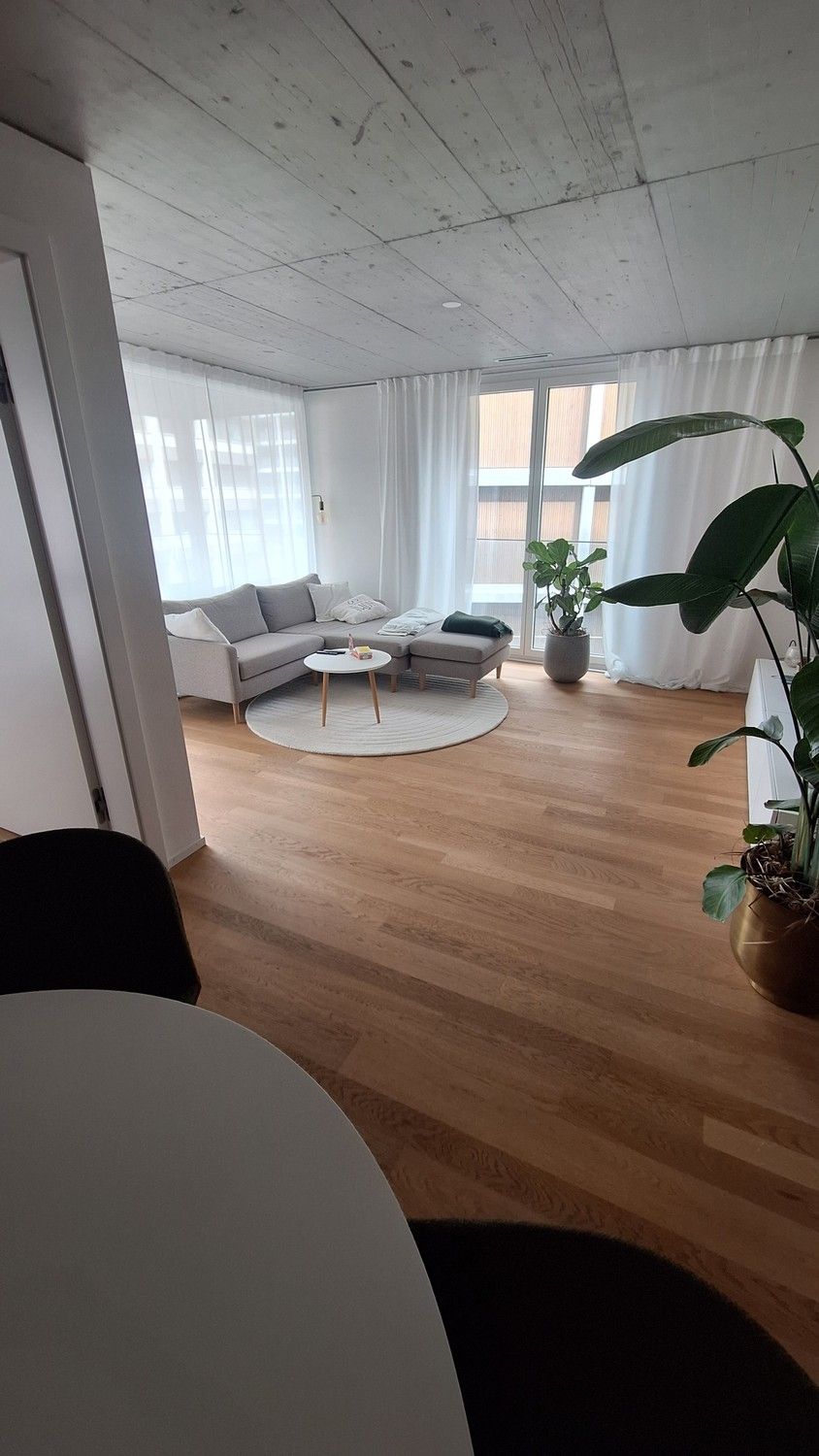 Nachmieter:in gesucht: Moderne 3.5 Zimmerwohnung in der Tribsche - Bild 3