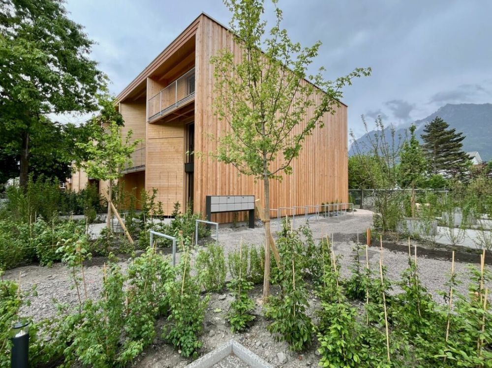 Wohnen im Grünen - moderne Reiheneinfamilienhäuser (Erstvermietung) - Bild 2