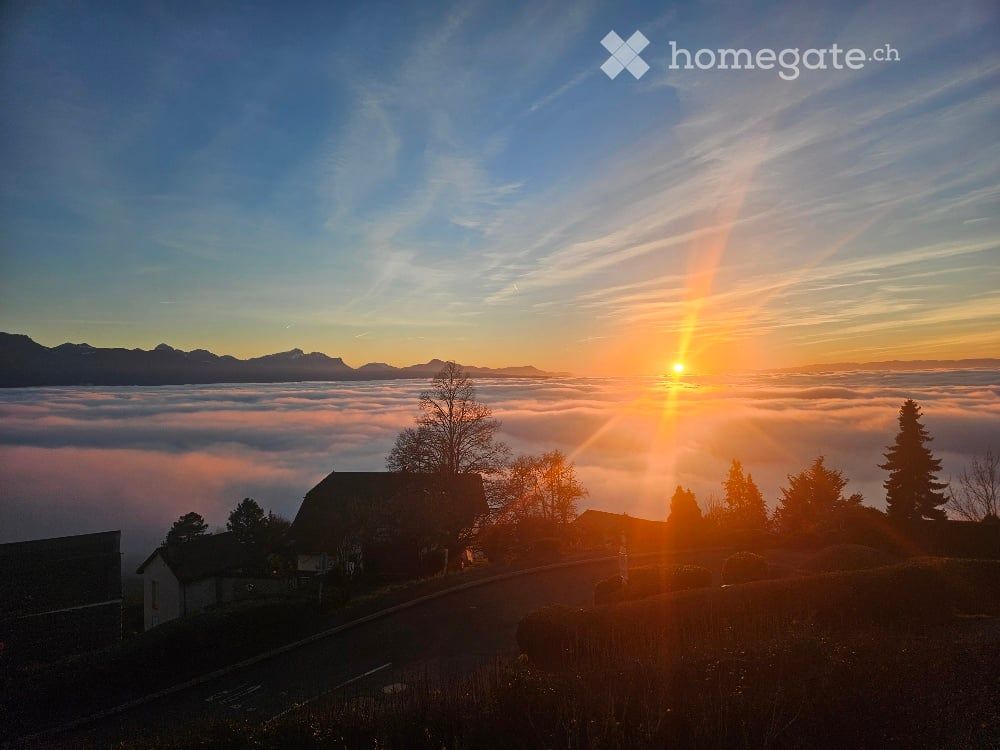 Magnifiques appartements neufs de 3,5 pièces + terrasse - Bild 13