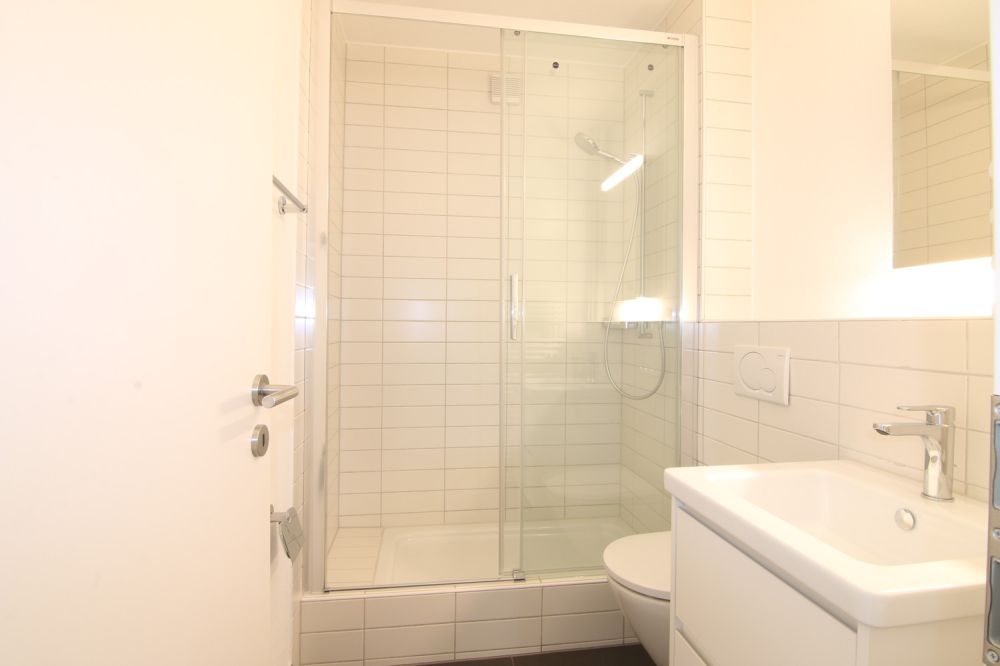 Erstvermietung nach Gesamtrenovation - Bild 3