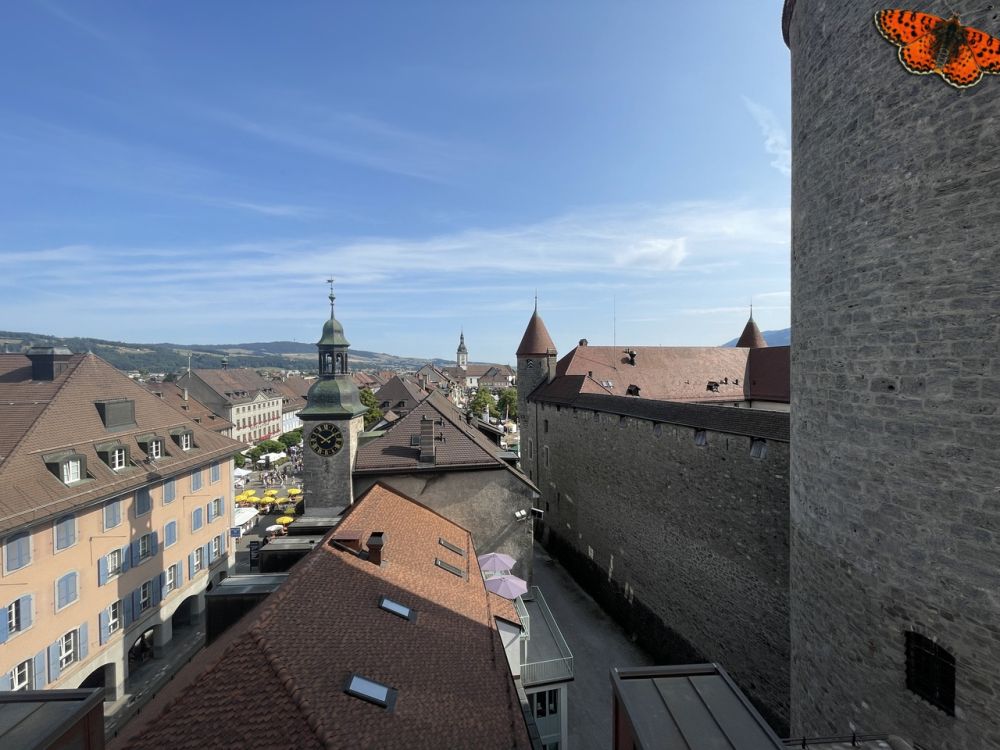 Magnifique loft au coeur de Bulle - Vue