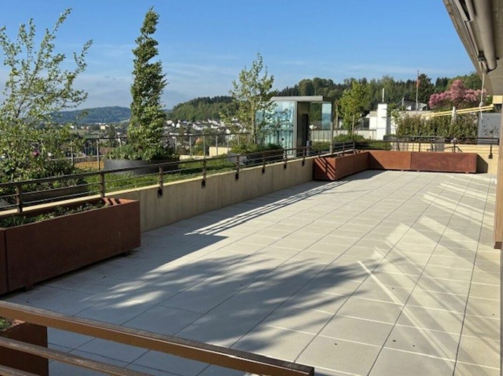 4½-Zimmer-Terrassenhaus mit Aussicht auf Alpen und Aarelandschaft - Bild 7