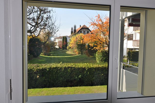 sanierte 4.5 Zimmerwohnung - Aussicht vom Essplatz