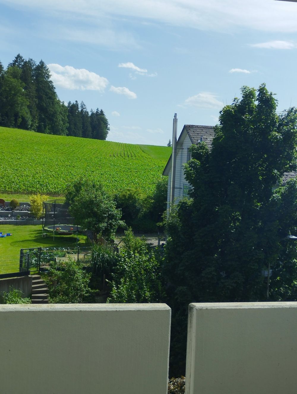 3 1/2 Zimmer Wohnung zu vermieten - Aussicht ins Grüne