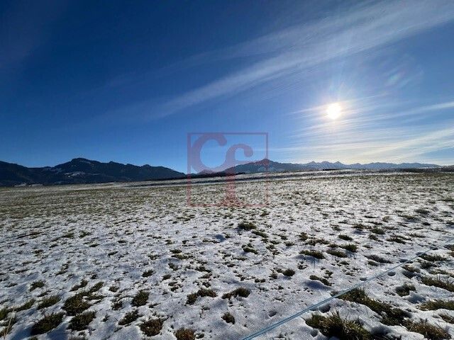 Plus que 1 magnifique appartement d'exceptions de 4.5 pc. - Bild 8