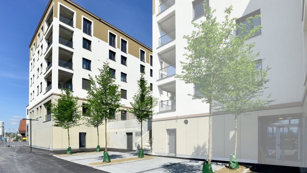 MODERNE WOHNUNG IM EIGENTUMSTANDARD - Bild 1