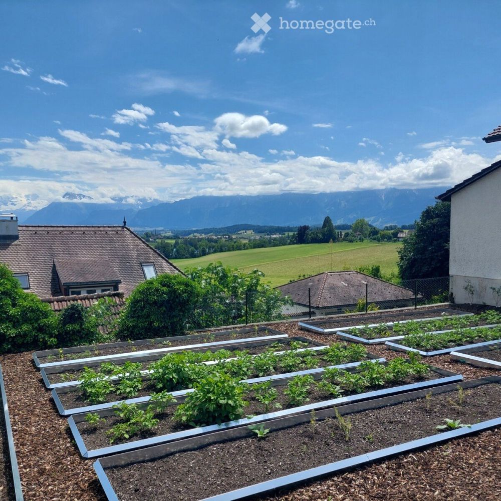 Tolle Dachwohnung in Gerzensee mit Alpenblick - 20240617_140936